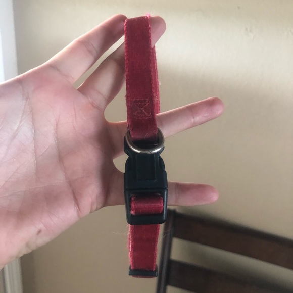 PetCo Other - Pet Collar